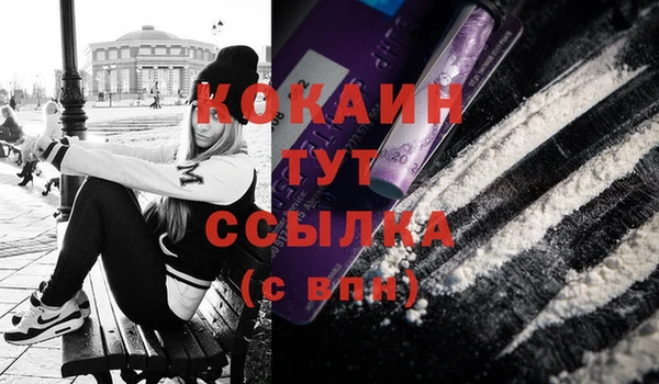 дживик Богданович