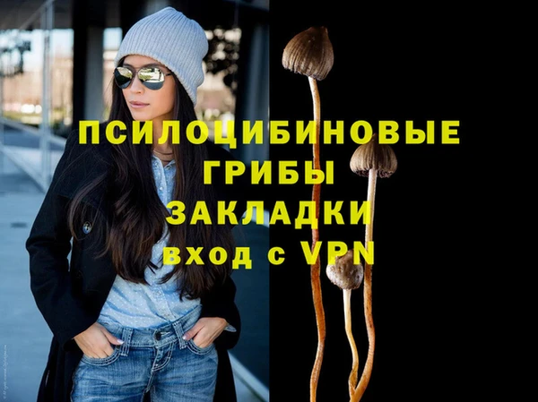 экстази Богородицк