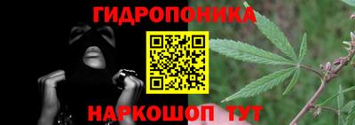 a pvp Дубна