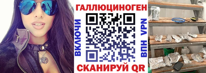 Галлюциногенные грибы Psilocybe Вязьма